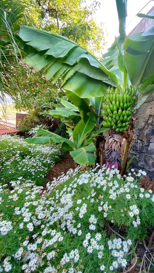 Casa Ideal Para Familias Com Vista Mar Desafogada Funchal  Exterior photo