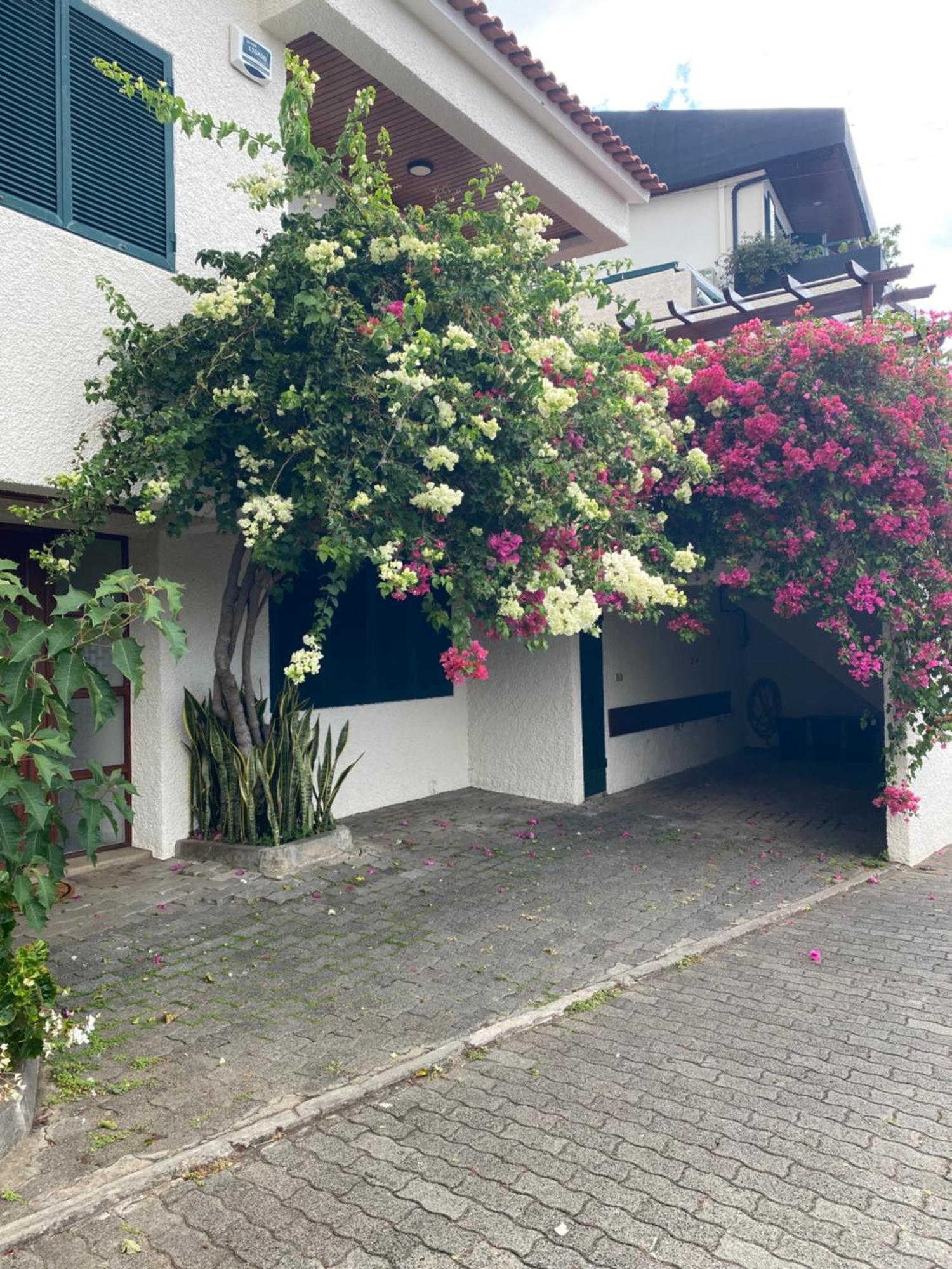 Casa Ideal Para Familias Com Vista Mar Desafogada Funchal  Exterior photo